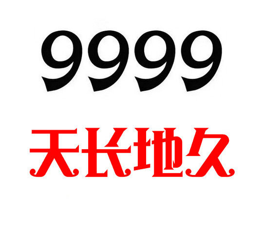 巨野9999吉祥号