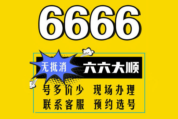 菏泽6666吉祥号